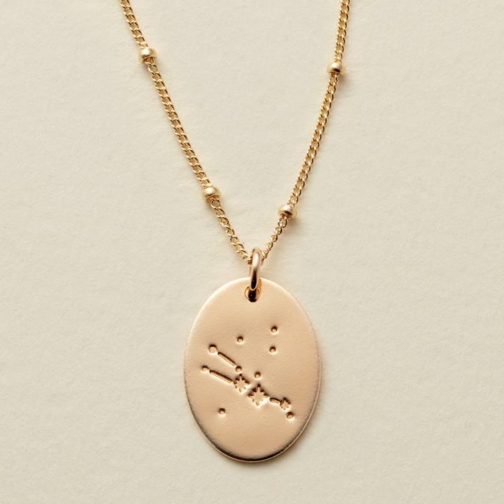 Taurus Minimalist Zodiac Charm Oval Disc Necklace